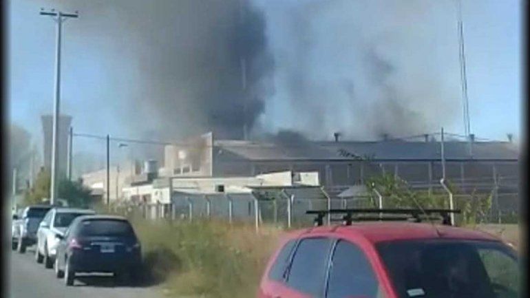Un incendio destruyó un galpón de empaque en Allen