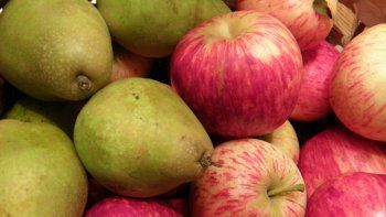 es oficial: reabren la exportacion de peras y manzanas a brasil
