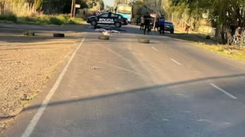 Horror en plena calle: dos hermanitas murieron atropelladas cuando bajaban del colectivo