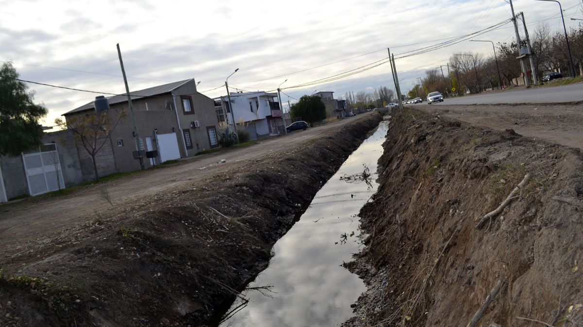 El Municipio de Cipolletti avanza con la limpieza, desmalezamiento y tala de arboles.