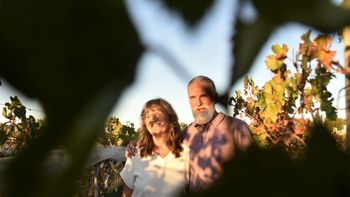 Alejandro Beckmann y Daniela Krumrick, fundadores de Principios & Finales,entre vides en Plaza Huincul, Neuquén. | LMCipolletti.com Alejandro Beckmann y Daniela Krumrick, fundadores de Principios & Finales,entre vides en Plaza Huincul, Neuquén.