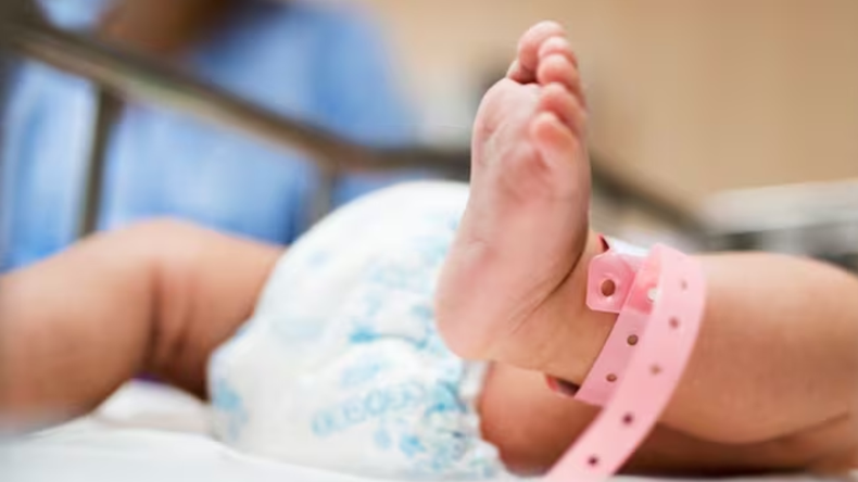 Los casos de coqueluche continúan en aumento en Argentina y ya se contabilizaron 7 fallecidos. | LMCipolletti.com Los casos de coqueluche continúan en aumento en Argentina y ya se contabilizaron 7 fallecidos.