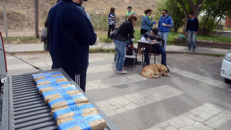Los condenan por narcos, pero no quedaron presos