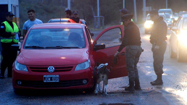 En los operativos preventivos es habitual la utilización de perros.