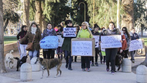 Aberrante: otra vez prendieron fuego a un perro en General Roca