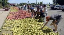 Los productores reclaman elecciones en la federación.