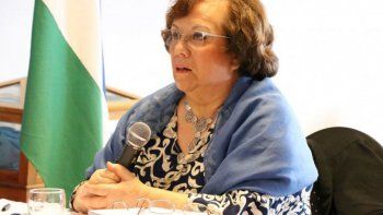 organizaciones provida piden exponer en el deliberante