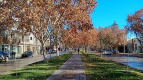 El otoño pinta su típica postal ocre en el Alto Valle. Este domingo arrancó con heladas y cielo despejado. Con el correr de las horas el sol dejó el día notablemente luminoso. | LMCipolletti.com El otoño pinta su típica postal ocre en el Alto Valle. Este domingo arrancó con heladas y cielo despejado. Con el correr de las horas el sol dejó el día notablemente luminoso.