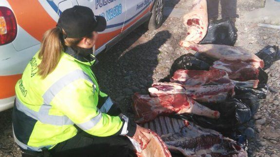 Decomisaron 250 kilos de carne con hueso de La Pampa 
