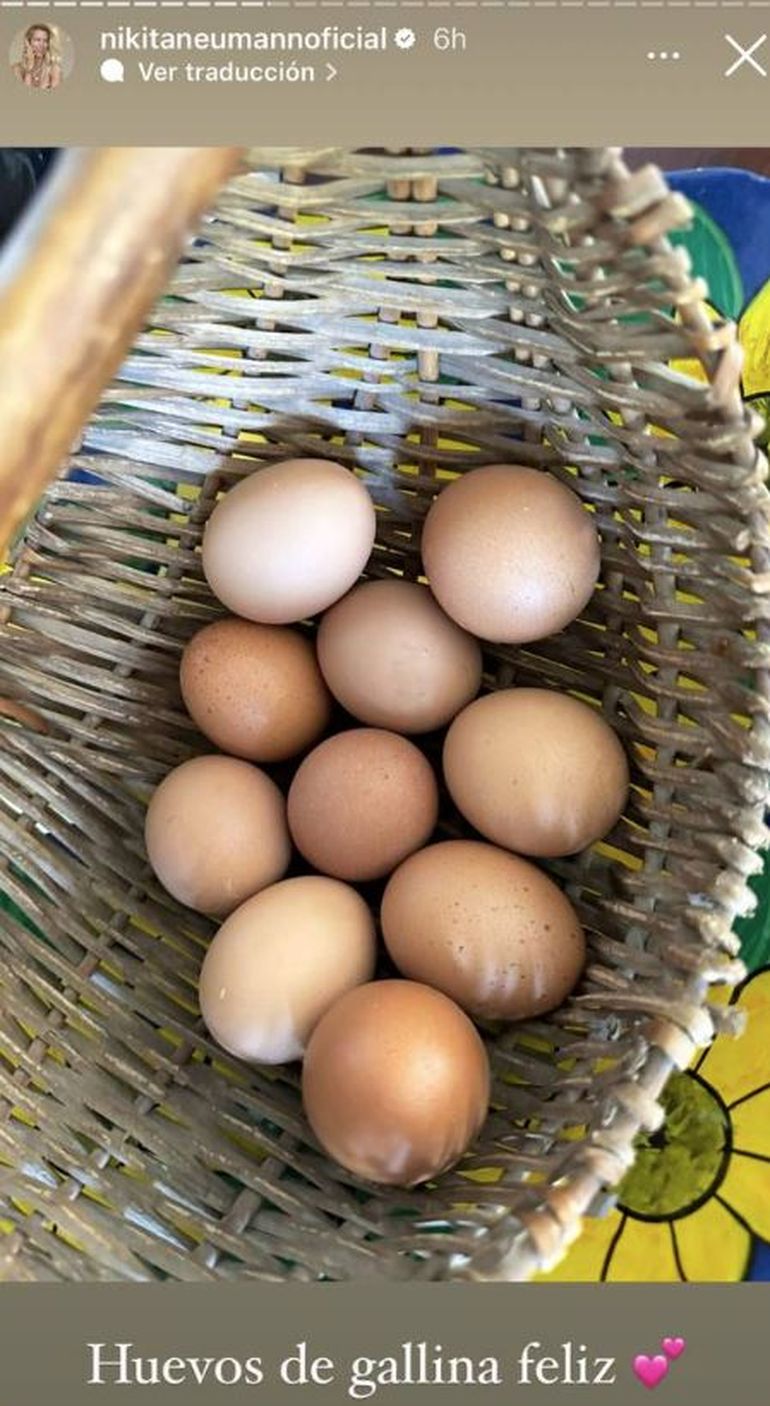 Nicole Neumann mostró los huevos especiales que come en el desayuno