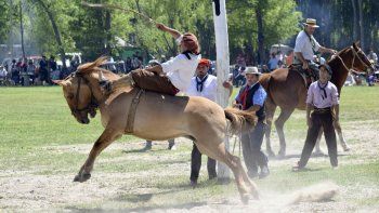 La sorpresiva respuesta de los organizadores de la jineteada, este viernes en Allen.