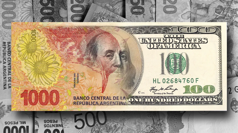El año pasado el dólar blue perdió