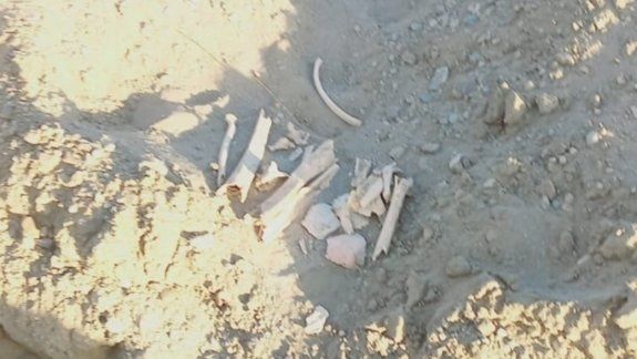 Los restos encontrados son humanos y tienen 60 años de antigüedad