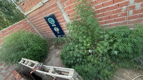 Foto ilustrativa. | LMCipolletti.com Foto ilustrativa.