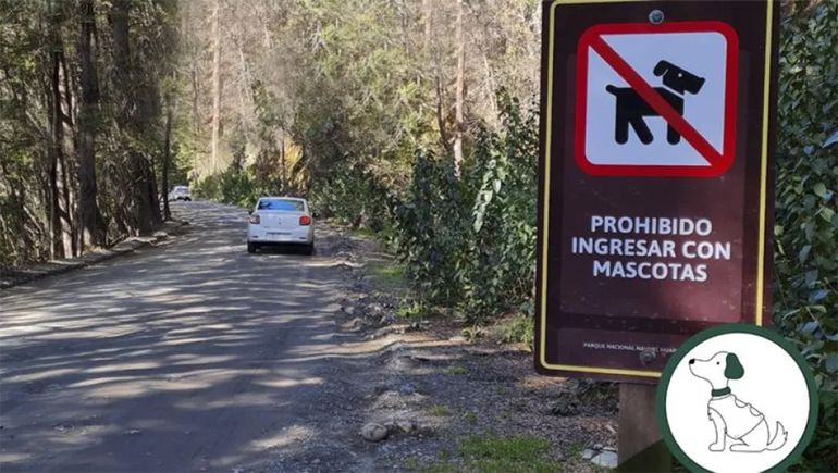 Parque Nacional Nahuel Huapi: denuncian que los turistas llevan mascotas que atacan a especies protegidas