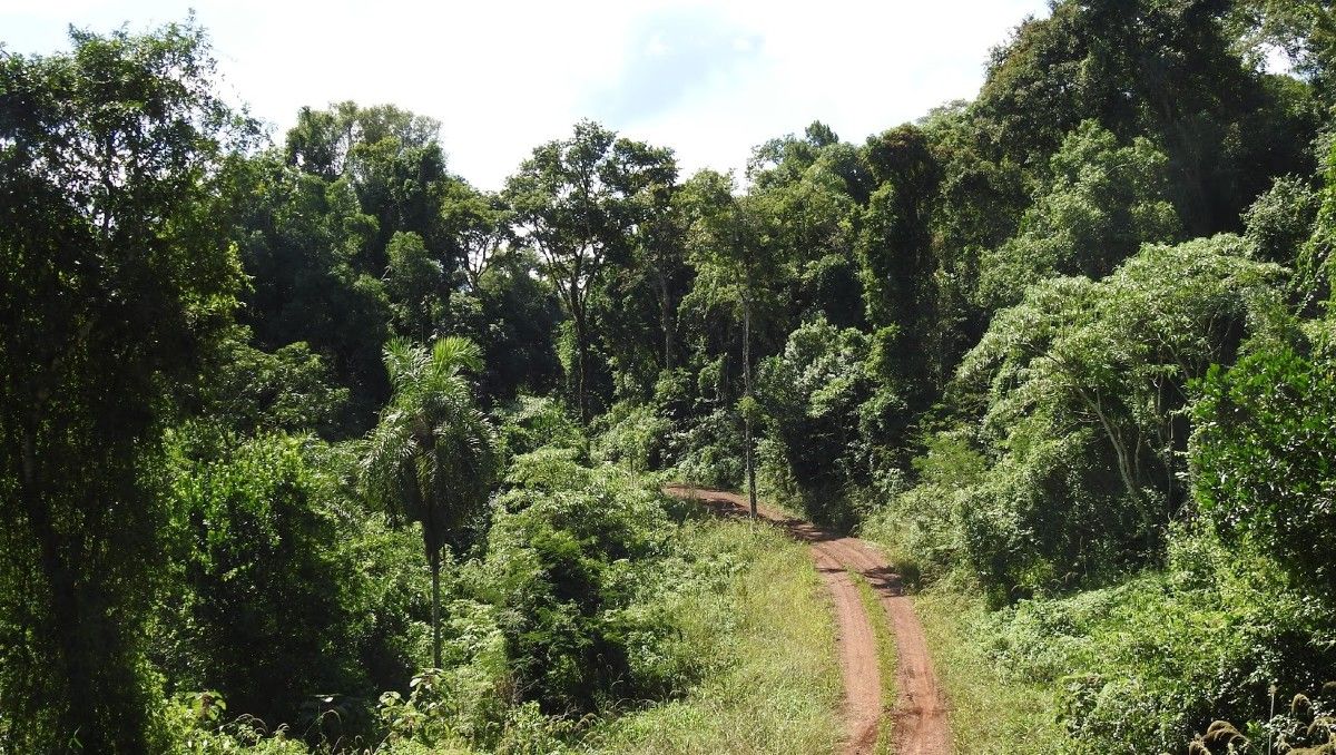 Bonos verdes: Misiones oficializó su acuerdo con Mercuria