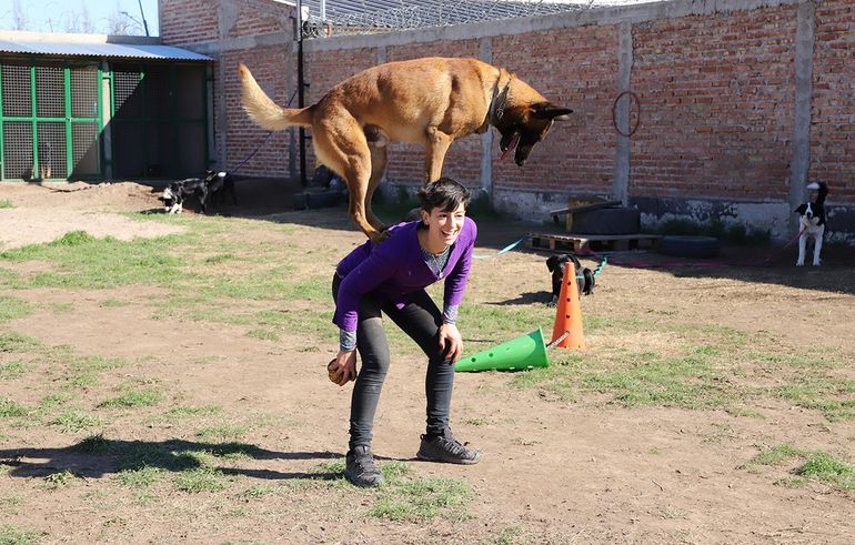 Se cansó de la abogacía y ahora se dedica a educar perros en la región