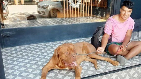 Denunció que un hombre le desfiguró la cara a patadas y lo dejó atado