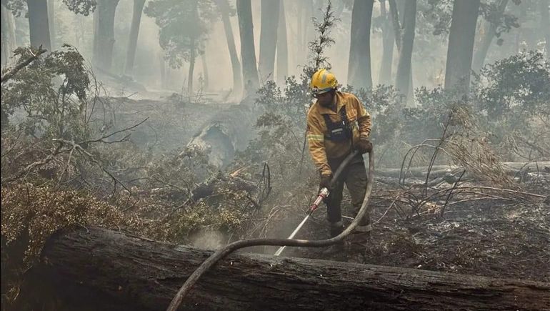 Continúa el incendio de bosques en Bariloche. Un equipo de 51 rescatistas lucha contra las llamas. 