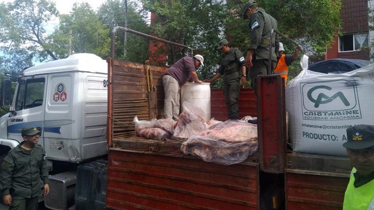Otro golpe al tráfico de carne: decomisan casi 10 mil kilos que venían a la región