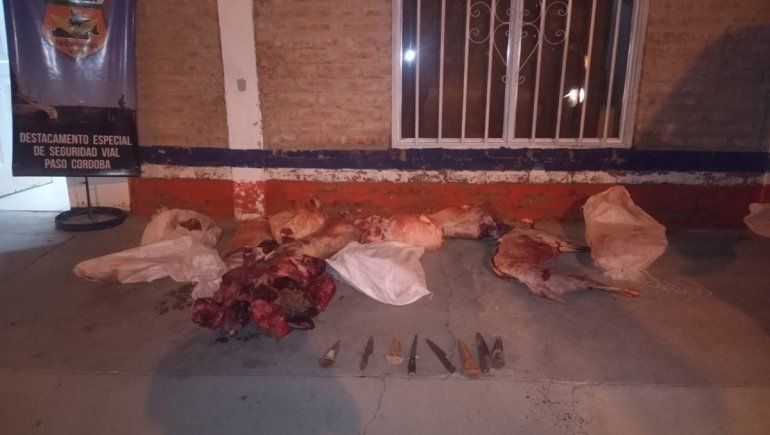 Decomisan cargamento de carne transportado sin medidas de higiene