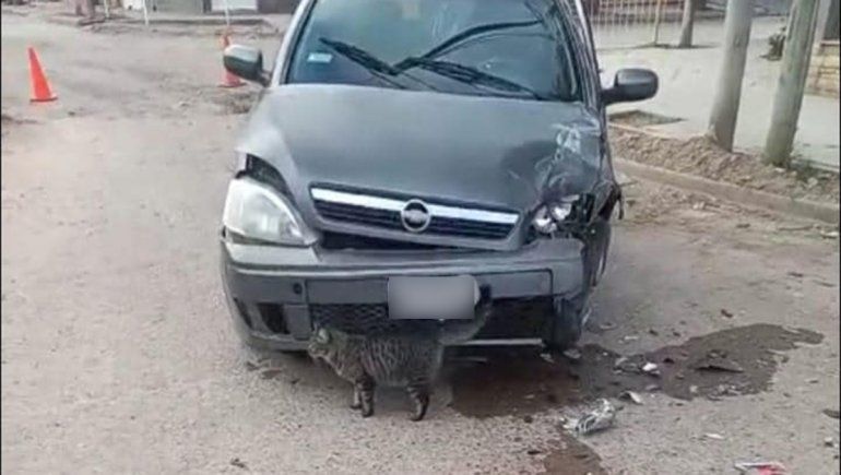 Chocó contra una camioneta estacionada y terminó en el hospital