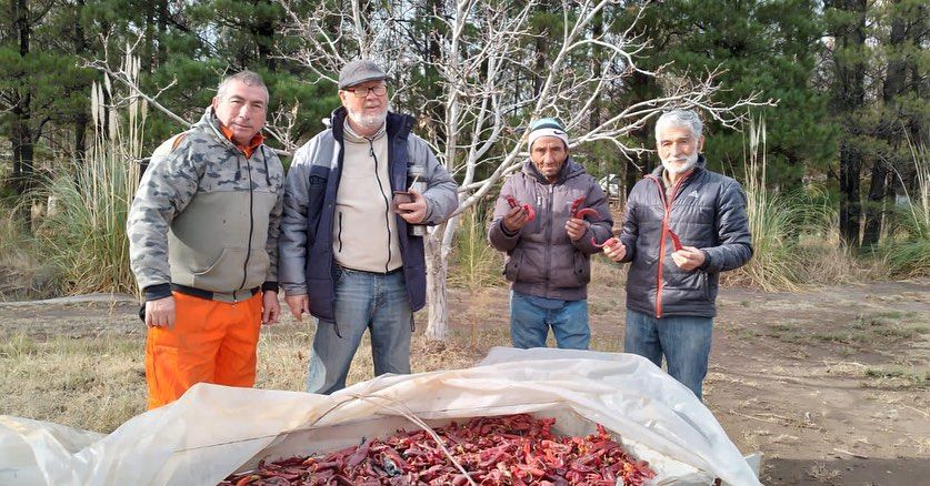 Cultivar sin canales de riego y entre las piedras, el enorme desafío en El Arroyón