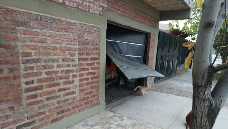 Los ladrones forzaron el portón del garaje y robaron bicicletas y cámaras de seguridad. El damnificado tiene ganas de irse de Cipolletti por la grave inseguridad. Los ladrones forzaron el portón del garaje y robaron bicicletas y cámaras de seguridad. El damnificado tiene ganas de irse de Cipolletti por la grave inseguridad.