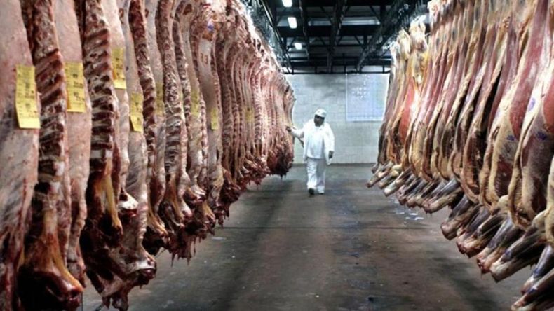 Mientras la inflación de mayo fue del 2,1%, el kilo de asado volvió a bajar y consolidó una tendencia que cambió la histórica relación de precios entre la Patagonia y el resto del país. | LMCipolletti.com Mientras la inflación de mayo fue del 2,1%, el kilo de asado volvió a bajar y consolidó una tendencia que cambió la histórica relación de precios entre la Patagonia y el resto del país.