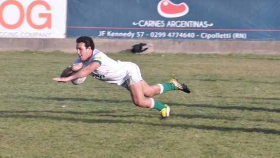 Marabunta sigue en alza.