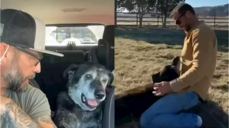 Conmovedor: adoptó el perro más viejo de un refugio para que no muriera solo