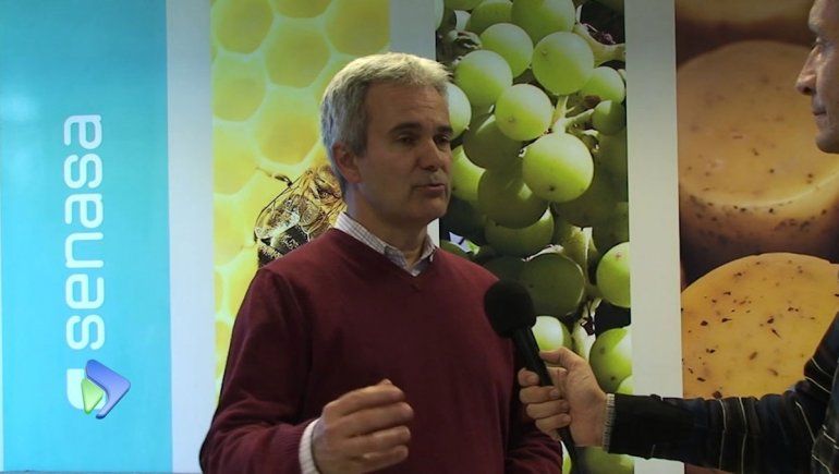 Los exportadores de frutas deben tramitar el Renspa
