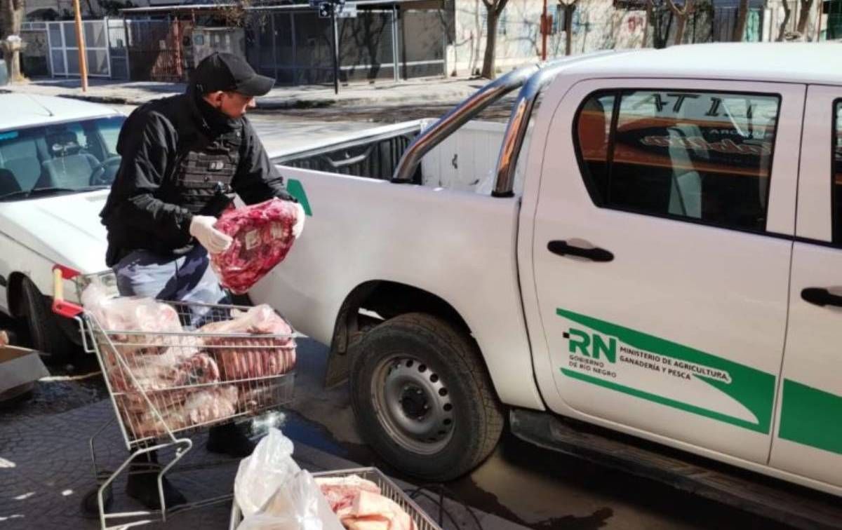 Hallan en carnicerías de la zona más de 500 kilos de carne de potro de faena clandestina