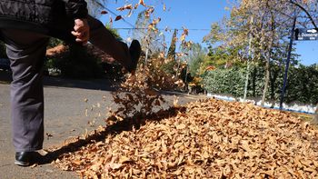 El otoño en Neuquén / Fotos