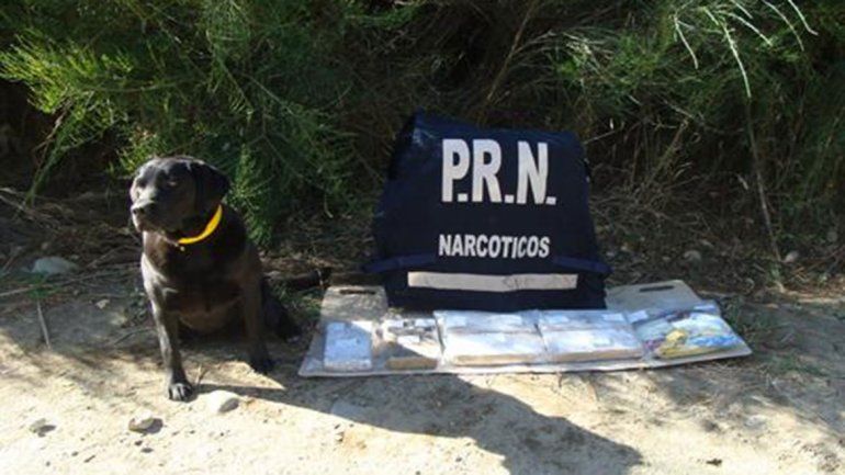 Cada vez hay más condenados por narcotráfico gracias al vital 0800