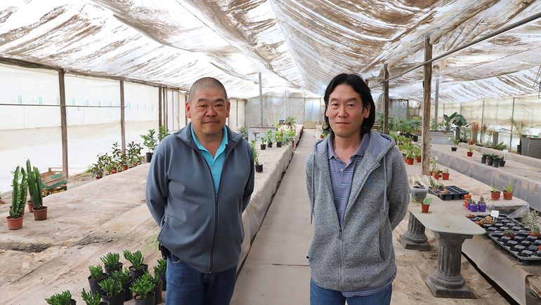 Cierra un emblemático vivero japonés: más de medio siglo de verde y memoria en Neuquén