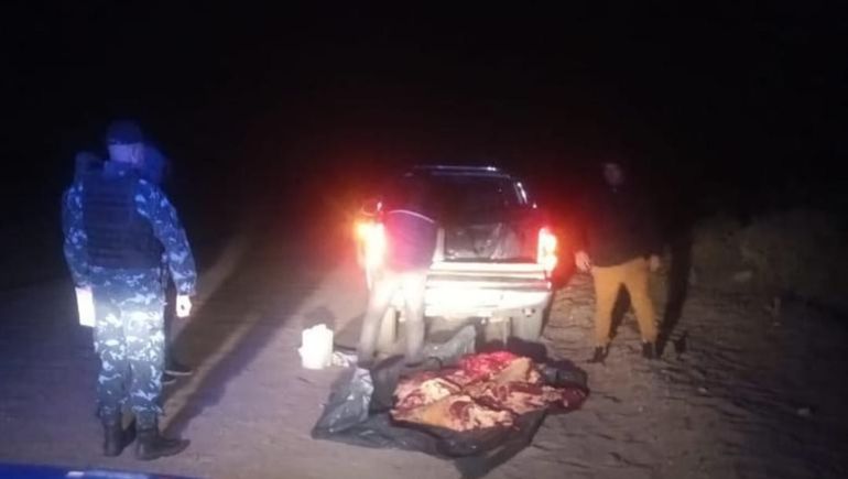 Iba a Cipolletti con 100 kilos de carne escondidos en la camioneta: le decomisaron todo