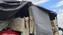 el millonario hallazgo de gendarmeria en un camion de mudanza en plena ruta
