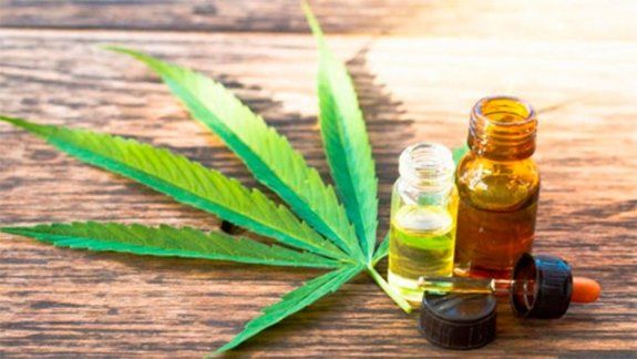Estudian si una sustancia del cannabis puede frenar al COVID