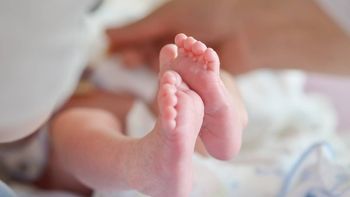 Es uno de los casos más llamativos porque no se inscribe en el país desde hace décadas. Es uno de los casos más llamativos porque no se inscribe en el país desde hace décadas.