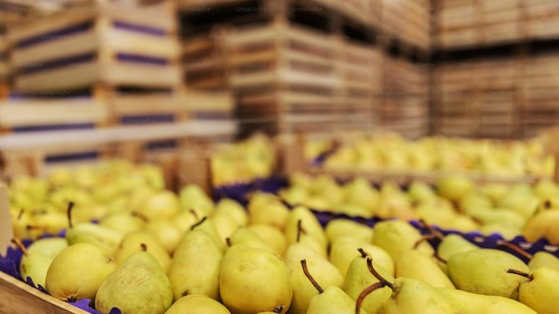 Los stocks de pera en el Alto Valle continuan siendo altos. Una preocupación adicional para los empresarios y productores.