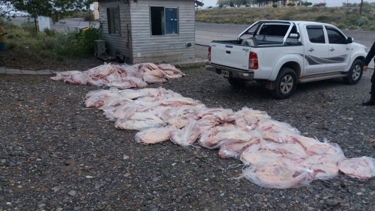 Decomisaron en Catriel 2.300 kilos de carne que intentaban ingresar a Neuquén Capital