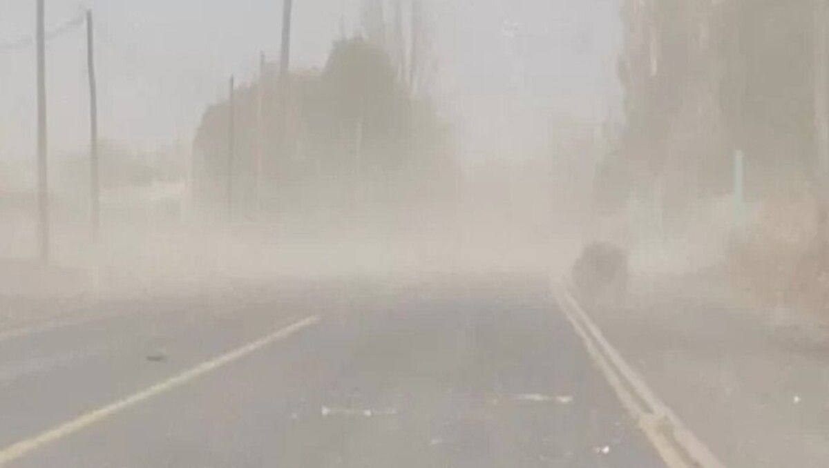 El Servicio Meteorológico Nacional (SMN) emitió en las últimas horas una serie de alertas por vientos fuertes.&nbsp;