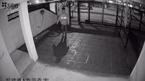 El ladrón quedó registrado por las cámaras de seguridad. El ladrón quedó registrado por las cámaras de seguridad.