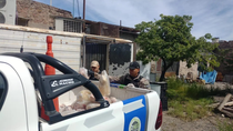 Los controles a carnicerías llegaron a Cinco Saltos con el secuestro de carne en mal estado en 6 comercios.