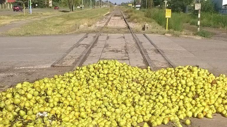 Ocampos: la fruticultura necesita medidas urgentes