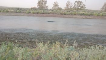 voladura de techos, postes y arboles caidos y un auto en un canal