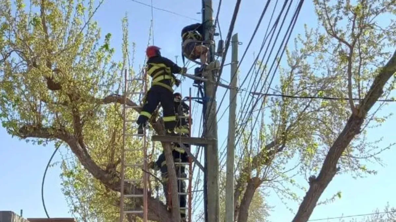 Impactante: le explotó la mano tras sufrir una descarga eléctrica