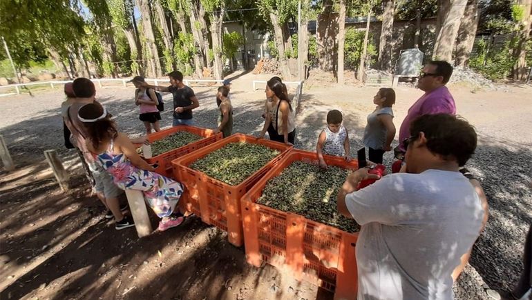 Una actividad recreativa y para conocer más la región