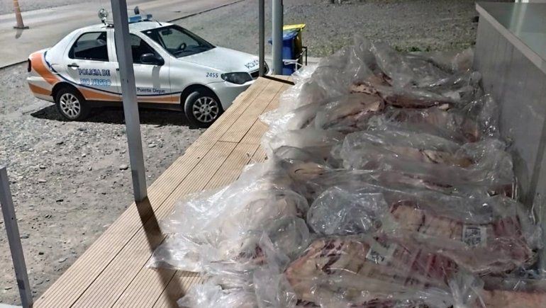 Intentó entrar a Río Negro con 65 costillares y le decomisaron todo